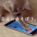 CM「Google Nexus 7（グーグル ネクサス 7）Cat篇」の曲「CMオリジナル曲 ／ 澤田かおり」